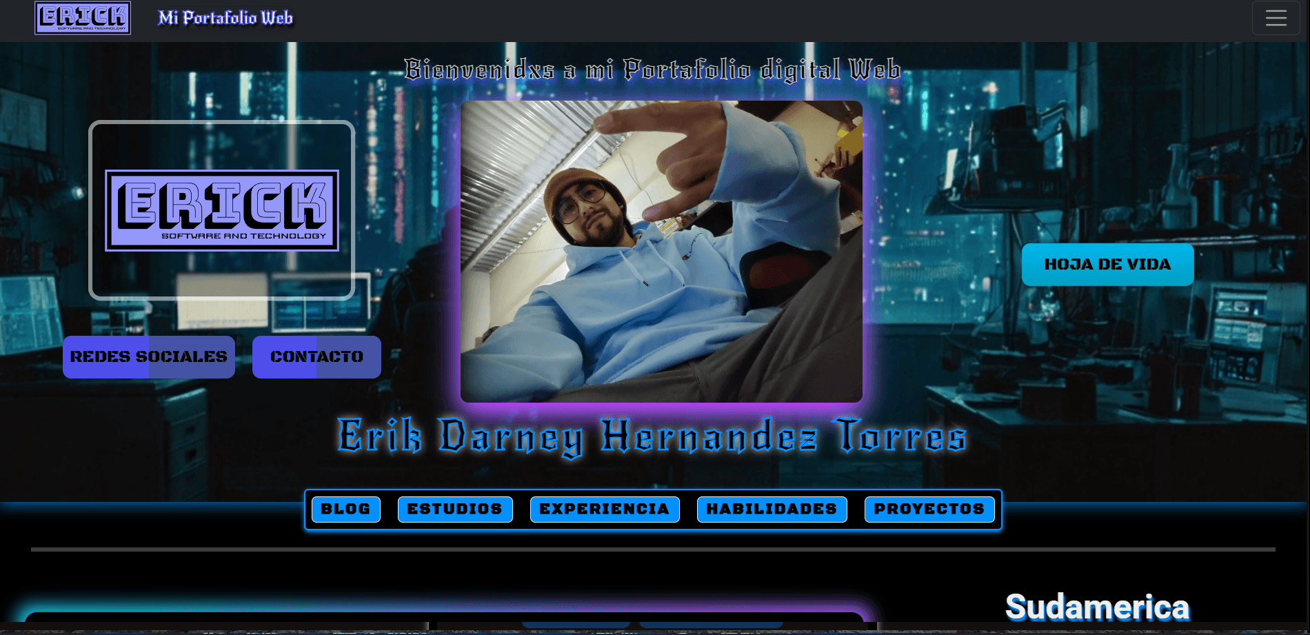 Portafolio profesional